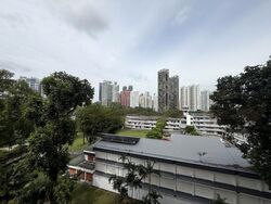 Spring Grove (D10), Condominium #478402701